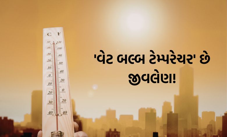 '38 ડિગ્રી' તાપમાન પણ છે ખતરનાક, કઈ રીતે જીવલેણ બની શકે?