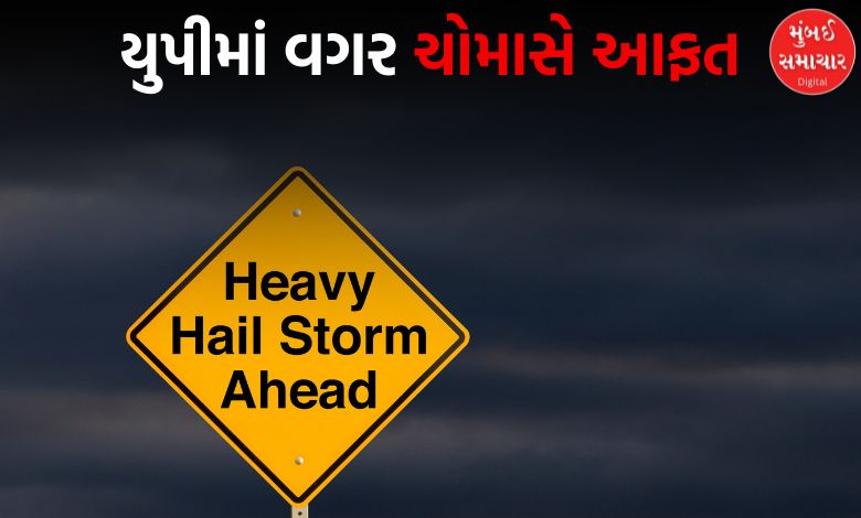 ઉત્તર પ્રદેશમાં આંધી, તોફાન અને વરસાદને