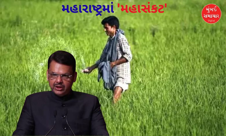 રાજ્યમાં અલ નીનોનું સંકટ: ખેડૂતોને પાક ધિરાણ આપવા