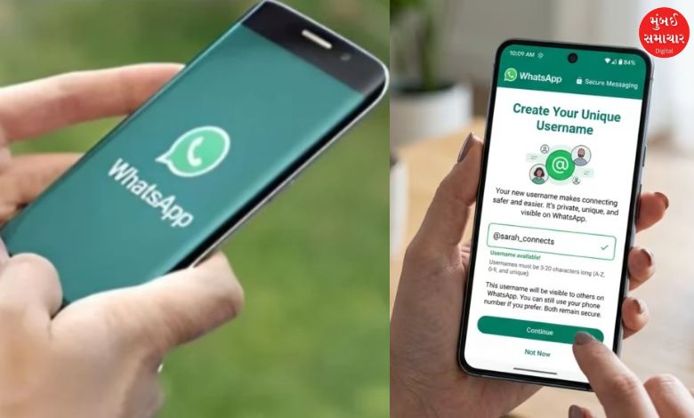 WhatsApp Call Recording Fact Check: શું સરકાર વાંચી રહી છે તમારા મેસેજ? '3 લાલ ટિક'વાળા વાઈરલ મેસેજની હકીકત...