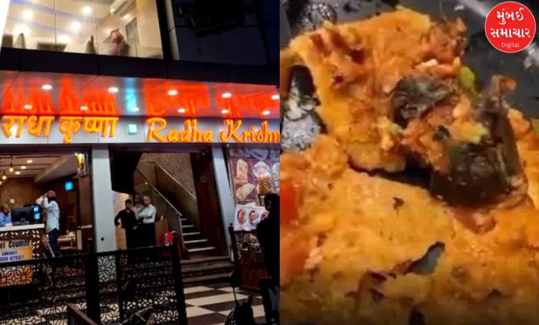 ઢોસામાં ઉંદર મળવાના પ્રકરણમાં ગંભીર વળાંક