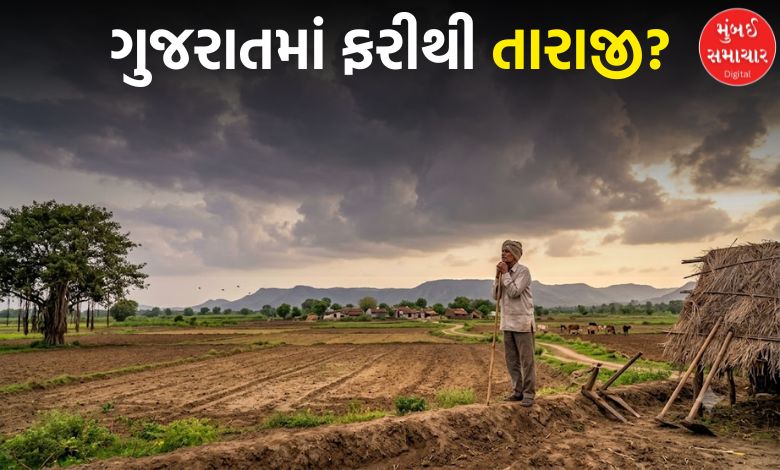 ગુજરાતમાં વરસાદ ખેંચાતા ખેડૂતો ચિંતિત!