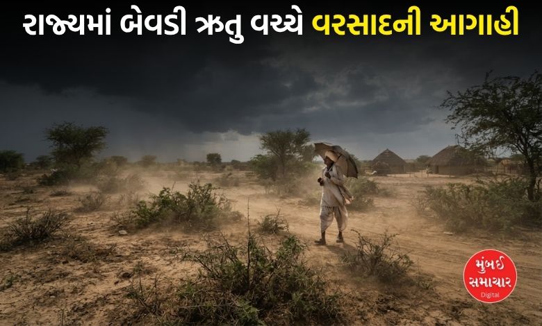 સવારે ગુલાબી ઠંડી અને બપોરે આકરો તાપ: વેસ્ટર્ન ડિસ્ટર્બન્સ સક્રિય થતાં સૌરાષ્ટ્ર-ઉત્તર ગુજરાતમાં વરસાદી માહોલ