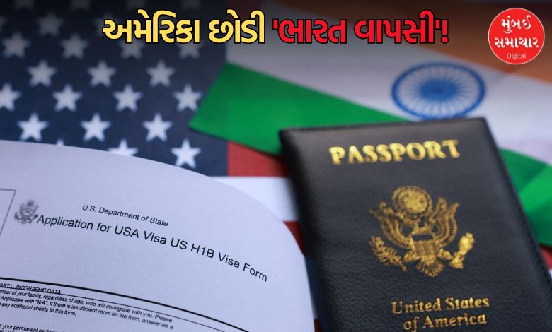 અમેરિકાનું 'ડોલર ડ્રીમ' છોડીને ભારત પરત ફરી રહ્યા છે ટેક પ્રોફેશનલ્સઃ 9 મહિનામાં હજારો લોકોએ કરી વાપસી, જાણો કેમ?