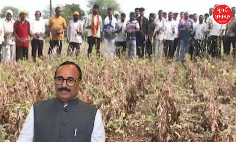 ‘સરકાર ખેડૂતોની સાથે છે, તમામ શક્ય મદદ કરીશું’: મંત્રી અતુલ સાવે