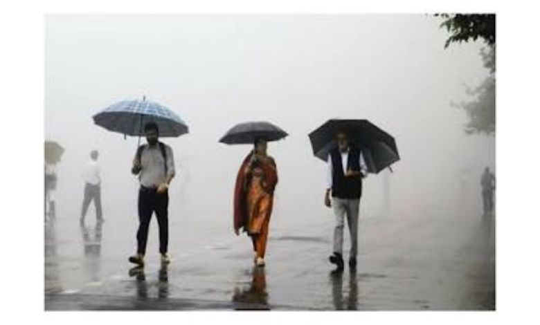 ગુજરાતમાં ચોમાસું ફરી થયું સક્રિય,  ઉત્તર ગુજરાતના