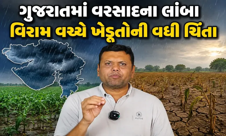 ગુજરાતમાં મેઘરાજા ફરી ક્યારે મહેરબાન થશે? પરેશ ગોસ્વામીએ જણાવ્યું વરસાદ ખેંચાવાનું અસલી કારણ