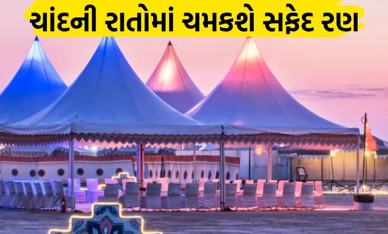 કચ્છ નહીં દેખા તો કુછ નહીં દેખા: સફેદ રણમાં 1 નવેમ્બરથી ગૂંજશે રણોત્સવનો નાદ, આકાર પામશે ભવ્ય ‘ટેન્ટ સિટી’