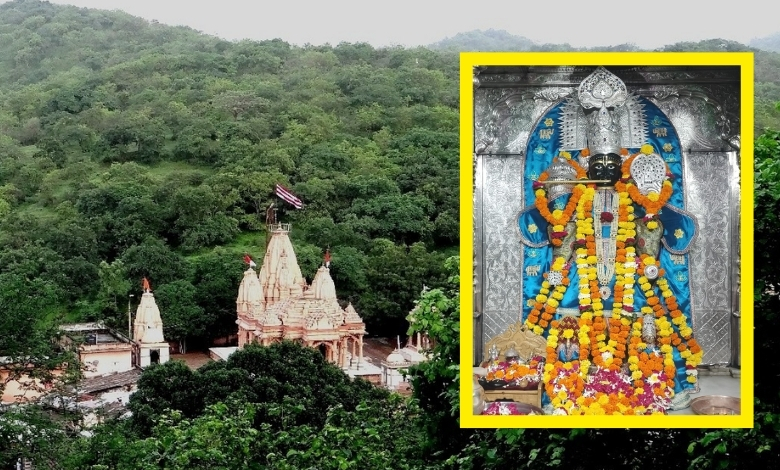 ‘ગીરનું દ્વારકા’ ગણાતા તુલસીશ્યામમાં જન્માષ્ટમીનો મહાપર્વ, ઈતિહાસમાં પહેલીવાર ખુલ્લા પરદે થશે કાળિયા ઠાકરનો મહાઅભિષેક