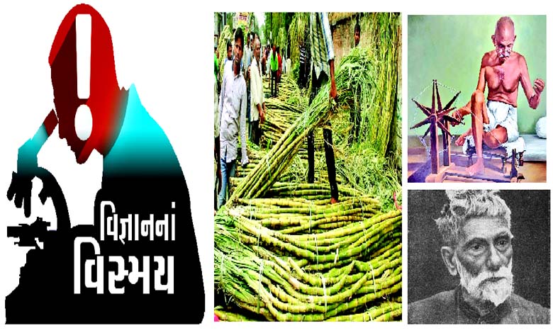 શેરડીના ત્યાગની જરૂરિયાતનું વૈજ્ઞાનિક કારણ