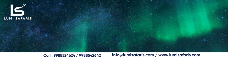Lumi Safaris