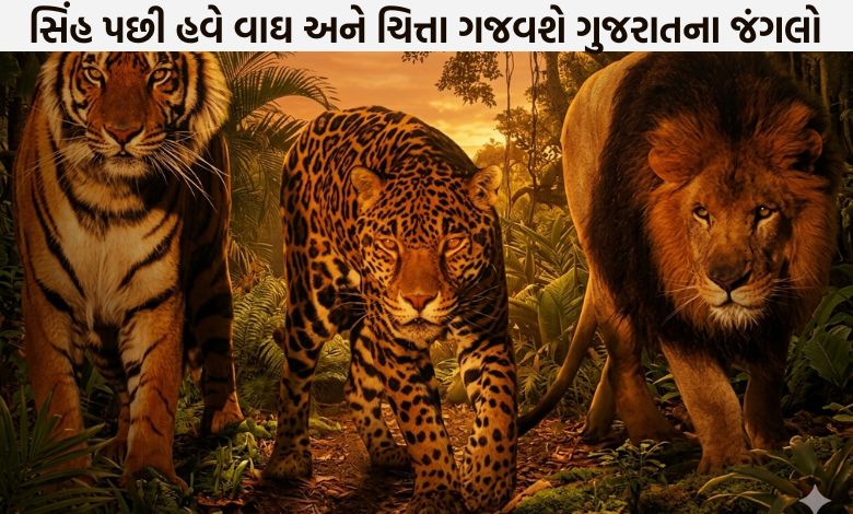 ગુજરાત બનશે 'બિગ કેટ'નું ઘર: વાઘ, ચિત્તા અને