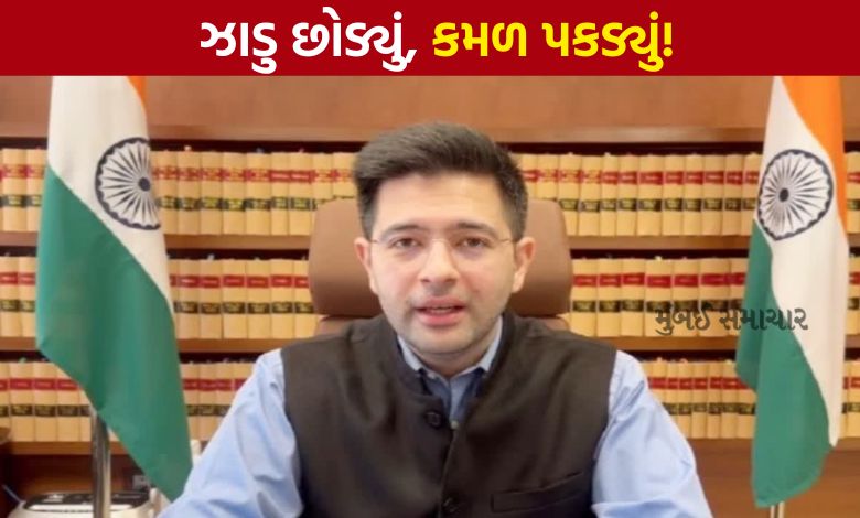 રાઘવ ચઢ્ઢાનું આમ આદમી પાર્ટીમાંથી રાજીનામું, કહ્યું