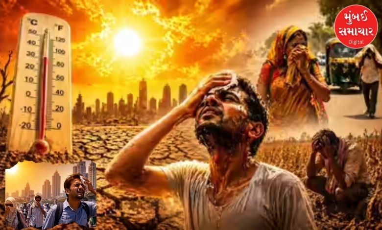 અમદાવાદમાં ગરમીનો વિસ્ફોટ: અડધી વસ્તી 'થર્મલ ડેન્જર' ઝોનમાં,