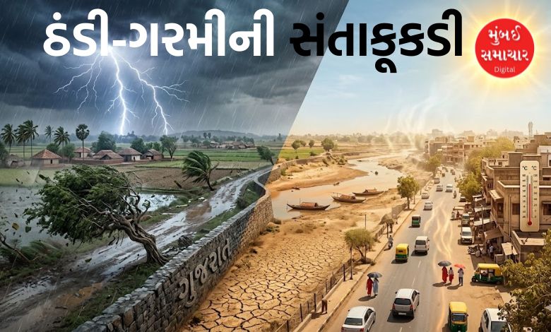 દેશના અનેક રાજ્યોમાં વરસાદનું એલર્ટ,