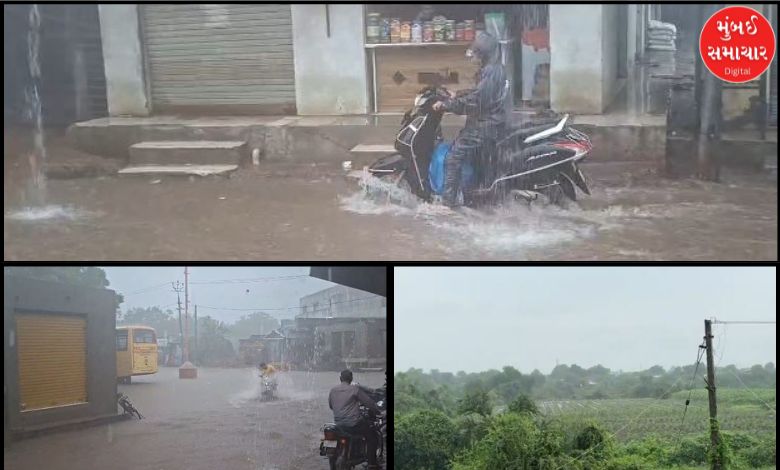 જામનગરમાં મોડી રાત્રે બે કલાકમાં 4 ઇંચ વરસાદ ખાબક્યો, મુરઝાતા પાકને નવજીવન મળતાં ધરતીપુત્રો ખુશ