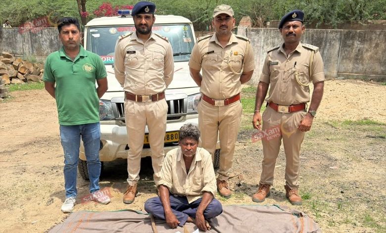 કચ્છના ખાવડા નજીક વન્યજીવ સાંઢાનો શિકાર કરતા એક શખ્સ ઝડપાયો, વન વિભાગે કરી કાયદેસરની કાર્યવાહી