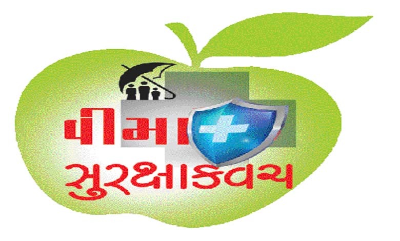 તમારા માટે શું યોગ્ય છે ફૅમિલી ફ્લોટર કે ઇન્ડિવિજ્યુઅલ હેલ્થ ઇન્સ્યોરન્સ?