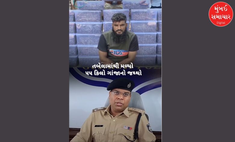 વડોદરાના પાદરામાં ખેતરમાં ખાડો ખોદી છુપાવ્યો હતો 55 કિલો ગાંજો, પોલીસે ₹27.50 લાખનો મુદ્દામાલ જપ્ત કર્યો