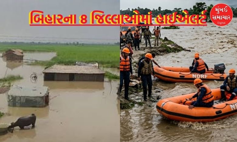બિહારના 8 જિલ્લાઓમાં હાઈએલર્ટ, પૂરનું સંકટ તોળાતા તંત્ર અને ટીમ સ્ટેન્ડ ટુ