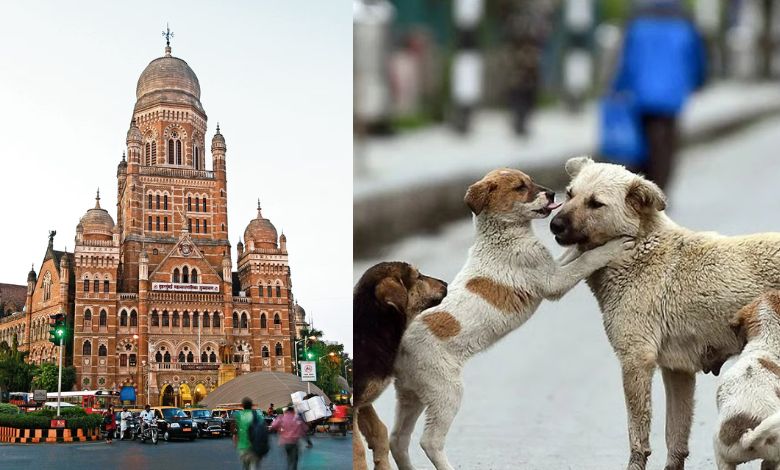 મુંબઈગરાને રખડતા શ્ર્વાનોના ત્રાસથી મળશે રાહત