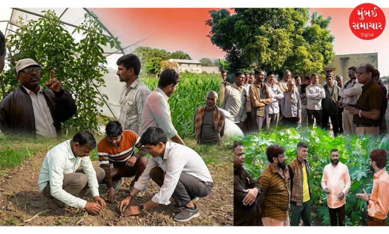 પ્રાકૃતિક ખેતીને વેગ આપવા ગુજરાતે શું લીધો મોટો નિર્ણય ? જાણો એક સાથે કેટલા ખેડૂતોને મળશે તાલીમ