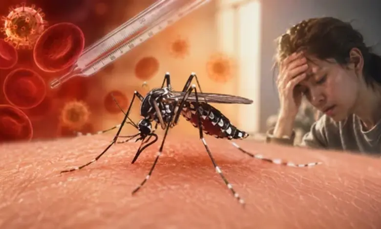 દિલ્હી થી લઈને ગુજરાત-તમિલનાડુ સુધી ડેન્ગ્યુના કેસો વધ્યા, હોસ્પિટલમાં લોકોની ભીડ વધી