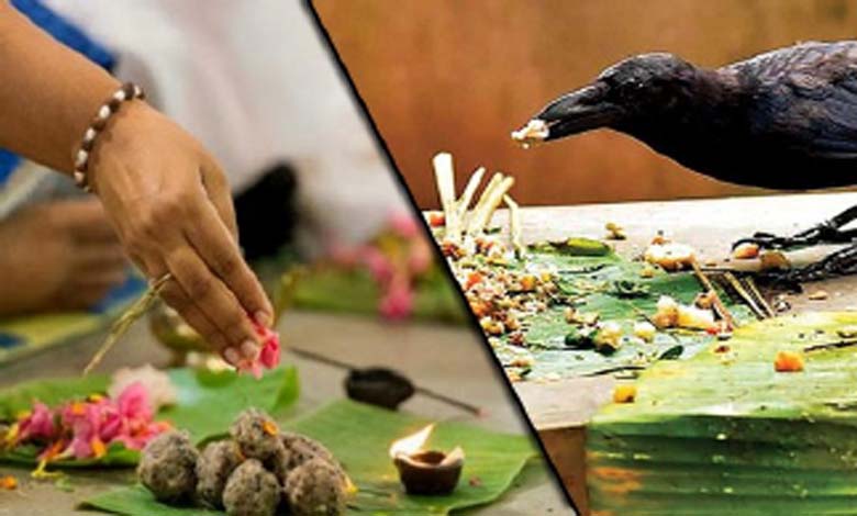 ચિંતન: પિતૃ ને શ્રાદ્ધ