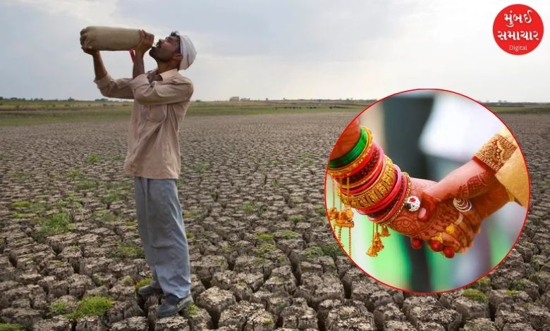 દુષ્કાળગ્રસ્ત વિસ્તારોમાં ખેડૂતોના લગ્ન માટે સમગ્ર મહારાષ્ટ્રમાં લાગુ થશે 'જી. શ્રીકાંત પેટર્ન'