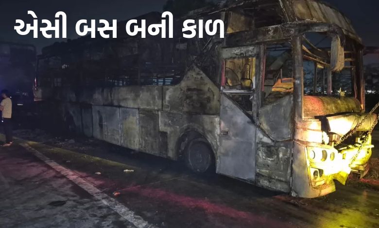 યમુના એક્સપ્રેસ પર એસી બસમાં લાગી ભીષણ આગ: 9 પ્રવાસી ભડથું