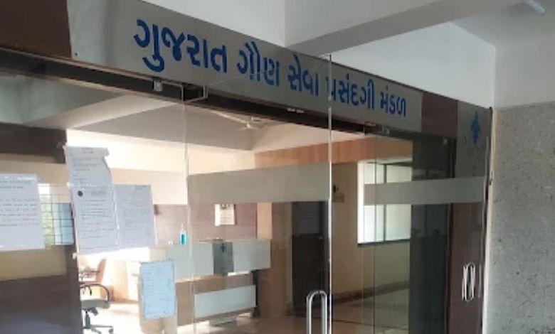 CCEના ઉમેદવારો થઈ જાઓ તૈયાર! GSSSBએ ગ્રૂપ-Aની મેઇન્સની તારીખ અને, સિલેબસની કરી જાહેરાત