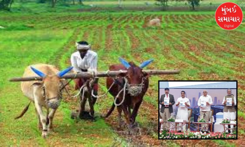 ગુજરાત સરકારે ખેડૂતો માટે રચી હાઈ લેવલ કમિટી, જાણો શું કરશે કામ ?