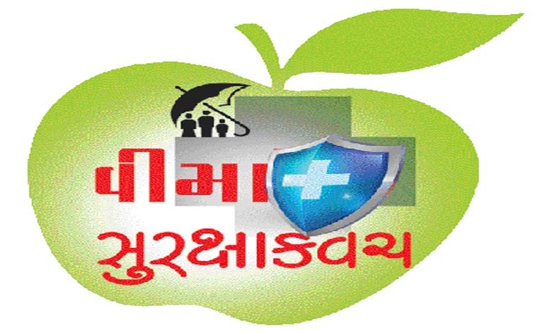 નવરાત્રિના નવ રંગ... હેલ્થ પૉલિસીના નવ મહત્ત્વના મુદ્દા