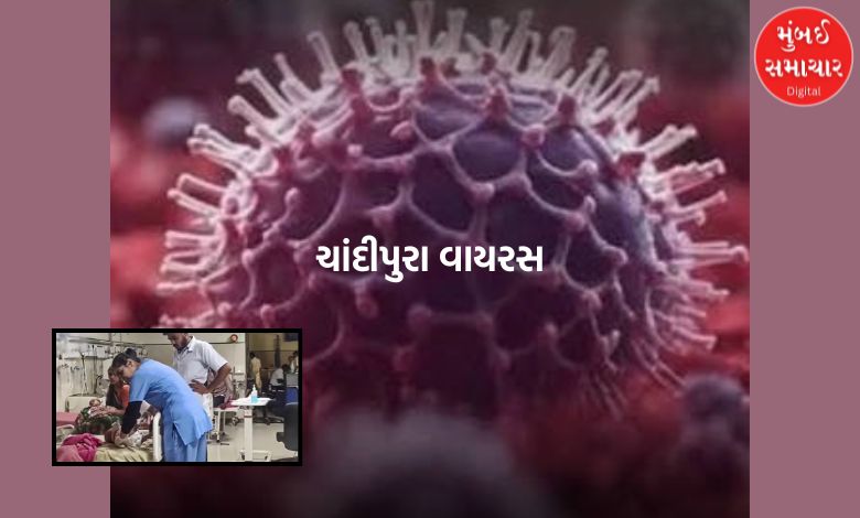 ચાંદીપુરા વાયરસનો કહેર! હિંમતનગર સિવિલમાં વધુ એક બાળકીનું મોત, મૃત્યુઆંક વધીને 4 થયો