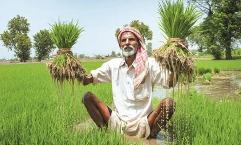 વર્ષ 2015 પછીનું સૌથી નબળું ચોમાસું