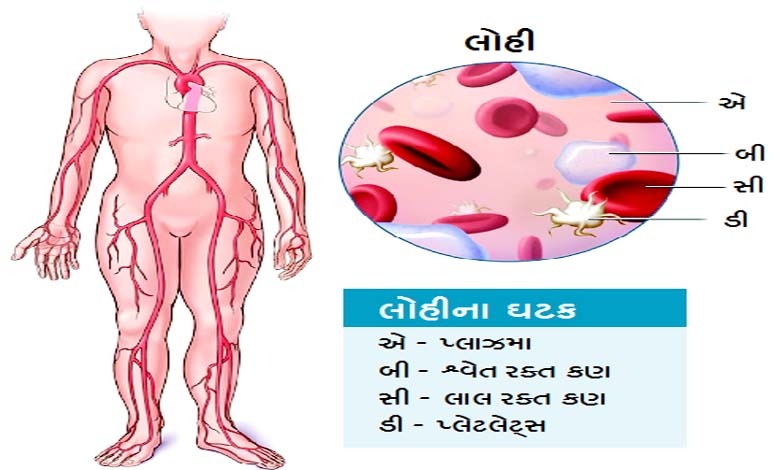 આરોગ્ય એક્સપ્રેસઃ આપણા લોહીને આપણે કેટલું ઓળખીએ છીએ?