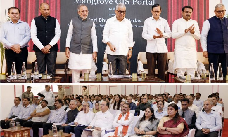 કચ્છ બનશે ગ્લોબલ ઇકો-ટુરિઝમ હબ: બન્નીમાં દોડશે ચિત્તા, નલિયામાં ઘોરાડનું થશે સંવર્ધન