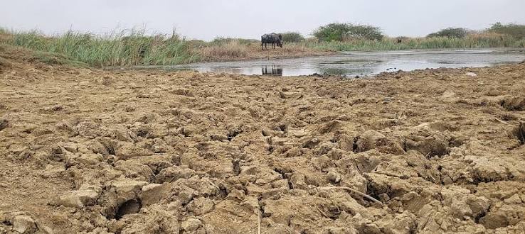 કચ્છમાં મેઘવિરામે ઉકળાટ વધાર્યો: અનેક વિસ્તારમાં પાણીની વિકટ તંગી, ટેન્કરમાફિયા સક્રિય
