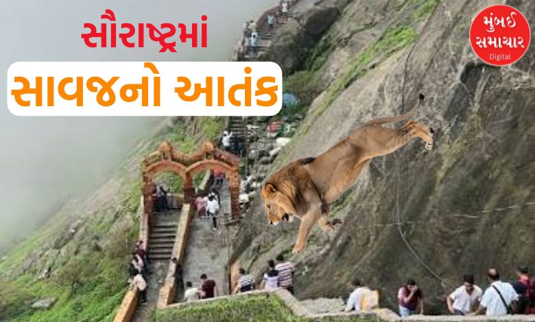 ગિરનાર ચઢતા છોકરાને સિંહ ખેંચી ગયો ને ફાડી