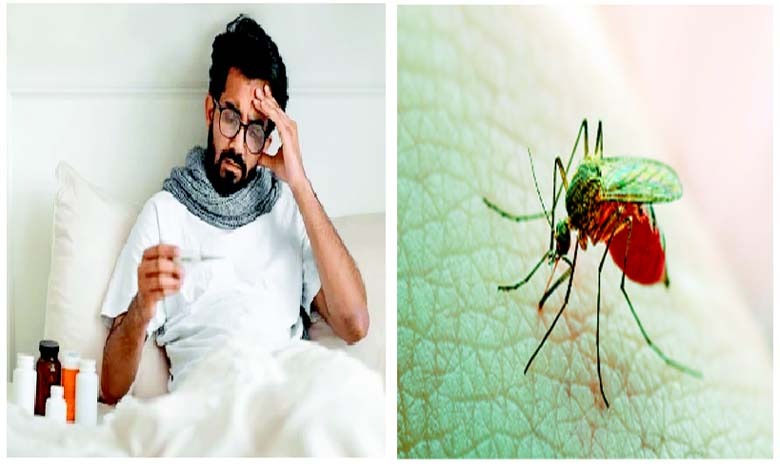 આરોગ્ય પ્લસઃ મલેરિયા (ટાઢિયો તાવ)....