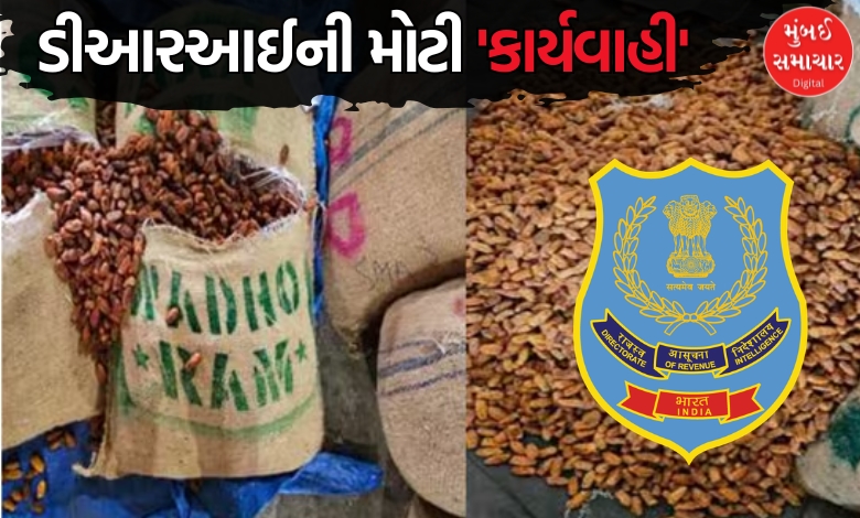નાશિકમાંથી પાકિસ્તાની 362 મેટ્રિક ટન ખજૂર જપ્ત, યુએઈથી મહારાષ્ટ્ર કઈ રીતે પહોંચાડાઈ?