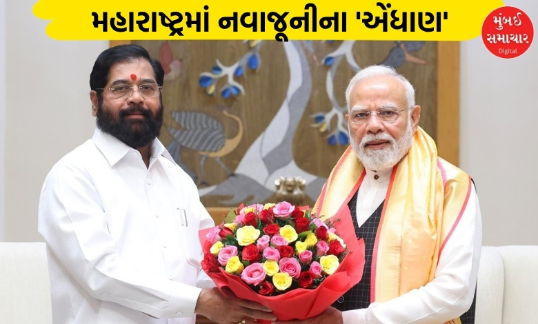 PM મોદી અને શિંદેની મુલાકાત: મહારાષ્ટ્રના રાજકારણમાં નવા સમીકરણોનાં એંધાણ...