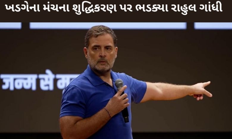 હલ્દ્વાની શુદ્ધિકરણ વિવાદ: રાહુલ ગાંધીએ ભાજપ-આરએસએસની વિચારધારા પર સાધ્યું નિશાન