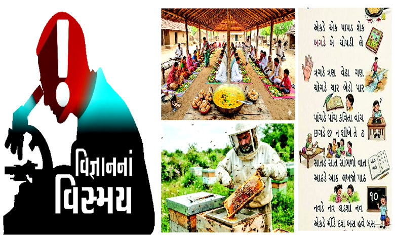 વિજ્ઞાનમાં આહાર ને આહારનું વિજ્ઞાન
