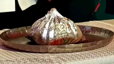 A 14-year-old boy from Ambernath has won the honor of having his Ganesha modak auctioned for one and a half lakh
