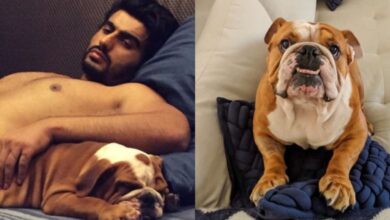 Arjun Kapoor Posts Emotional Tribute to Pet Dog Maximus: "The Best Boy in the World"