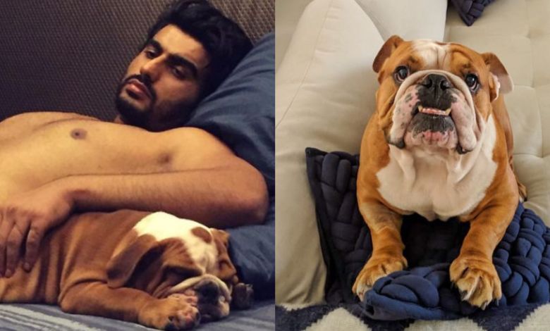 Arjun Kapoor Posts Emotional Tribute to Pet Dog Maximus: "The Best Boy in the World"