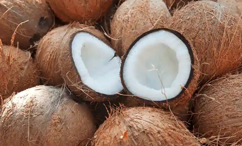 Coconut sale in ganeshotsav, navratri, diwali
