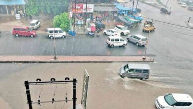 127 Gujarat Districts Receive Rain on Janmashtami