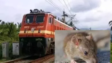Railways and Rats